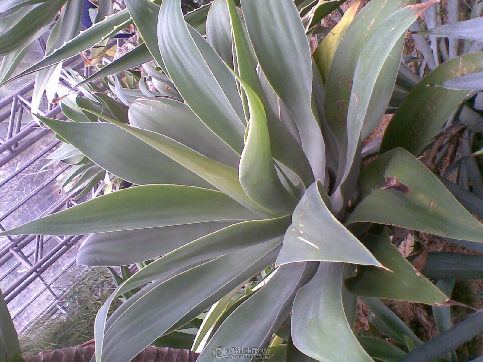 20120226(077).jpg