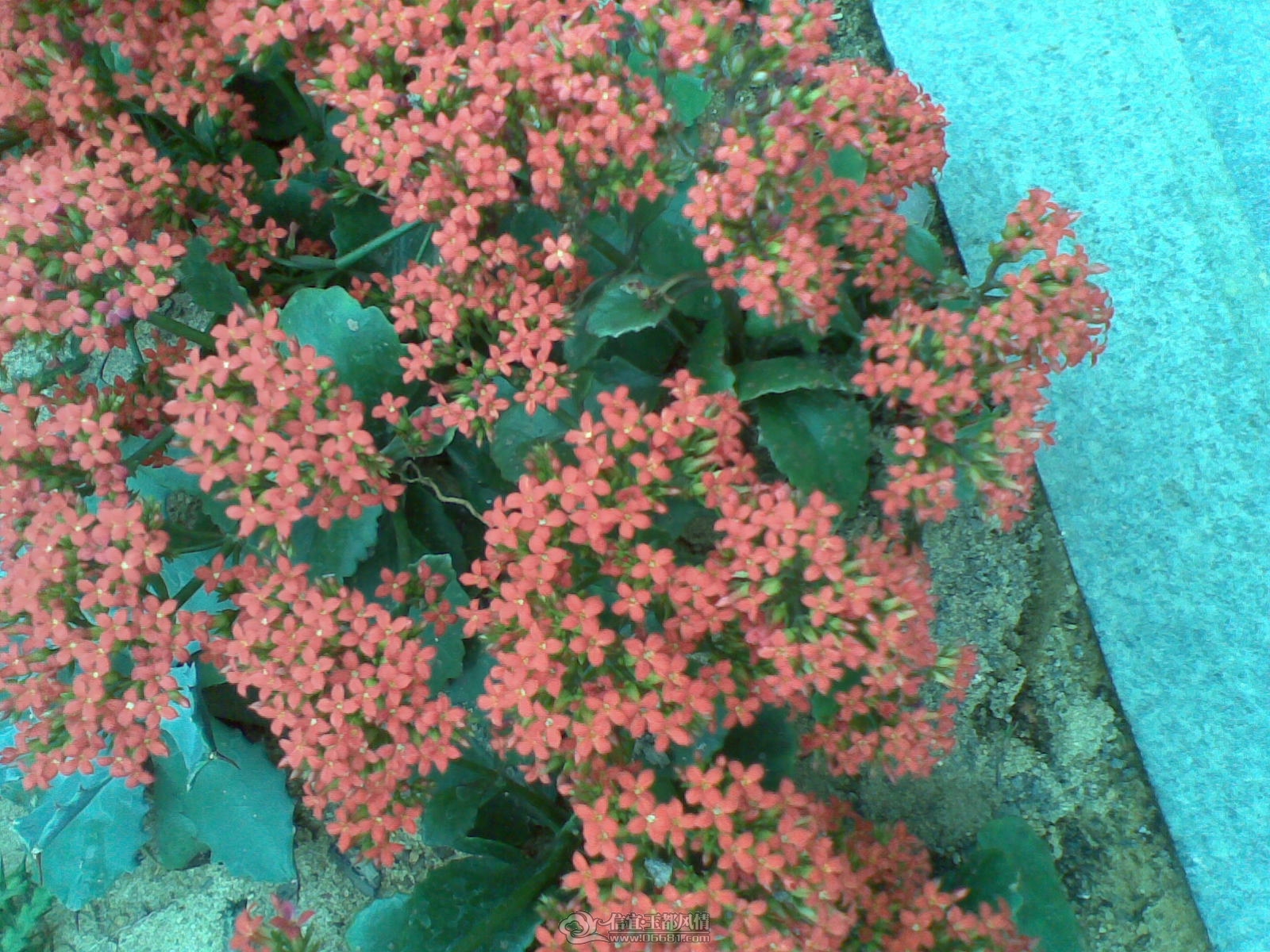 20120226(079).jpg