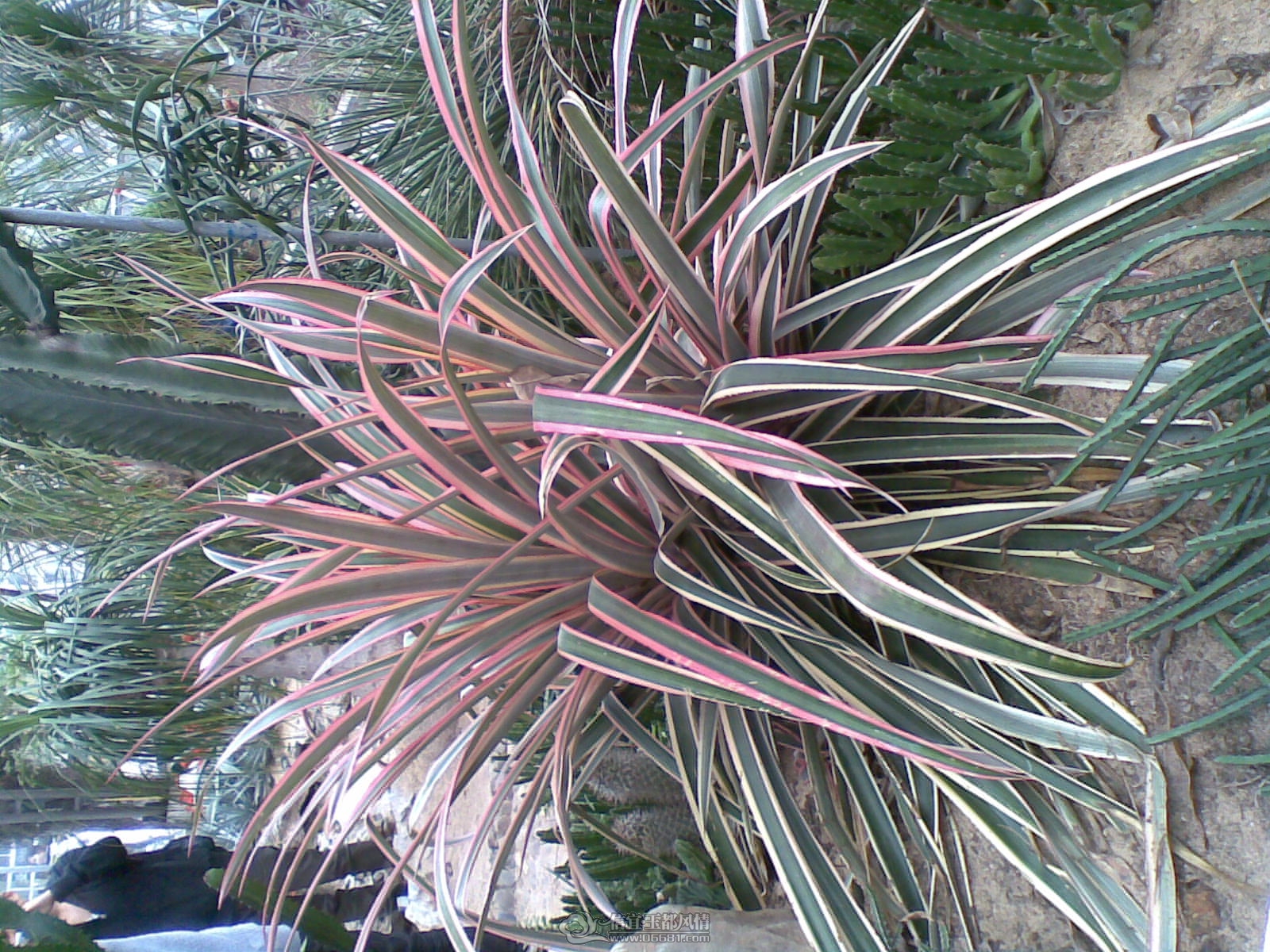 20120226(080).jpg