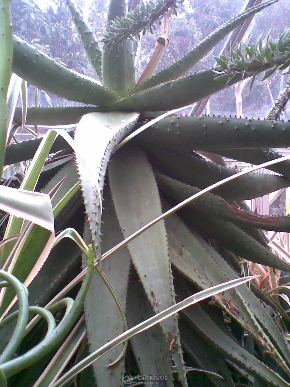 20120226(084).jpg
