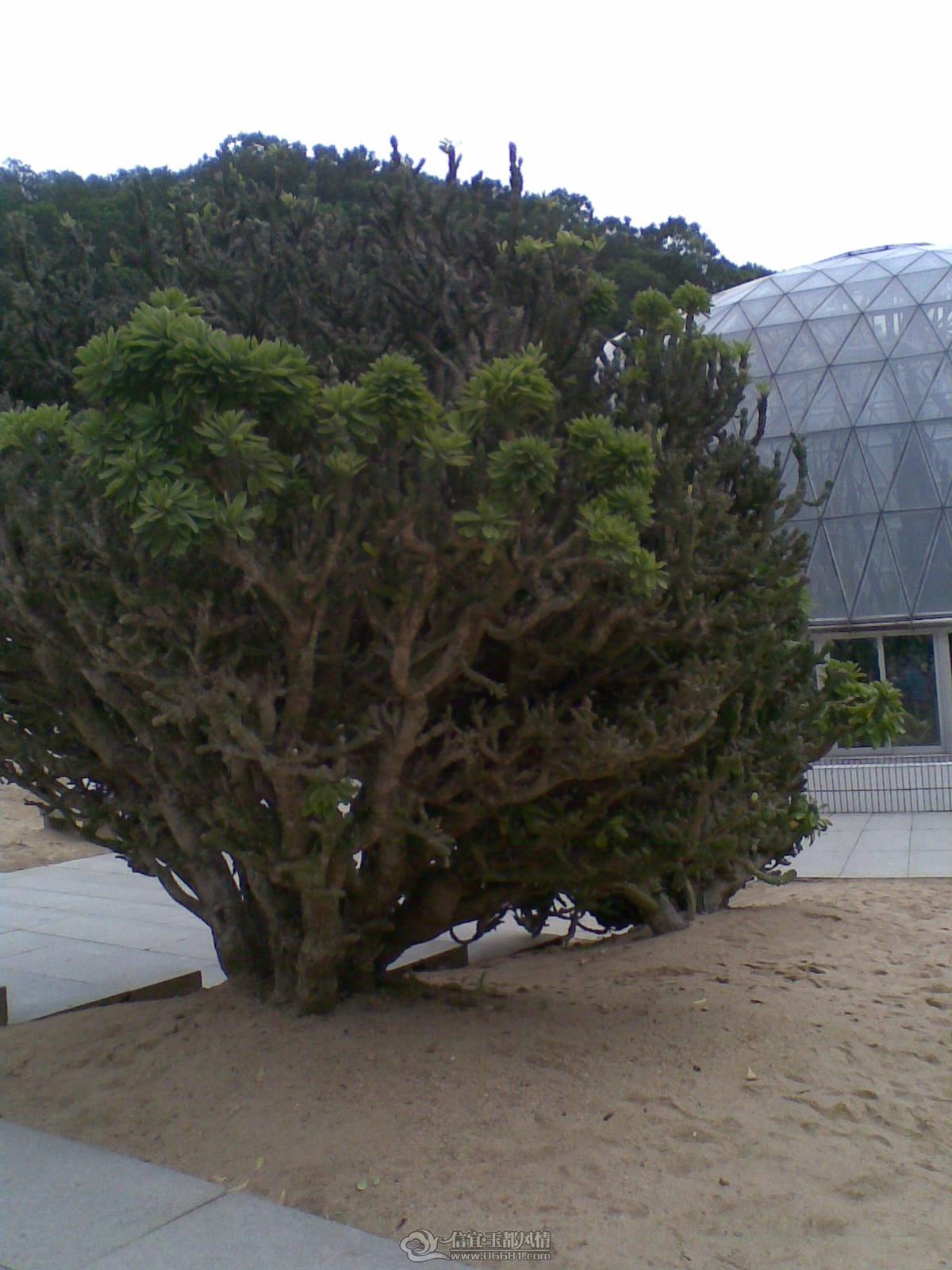 20120226(096).jpg