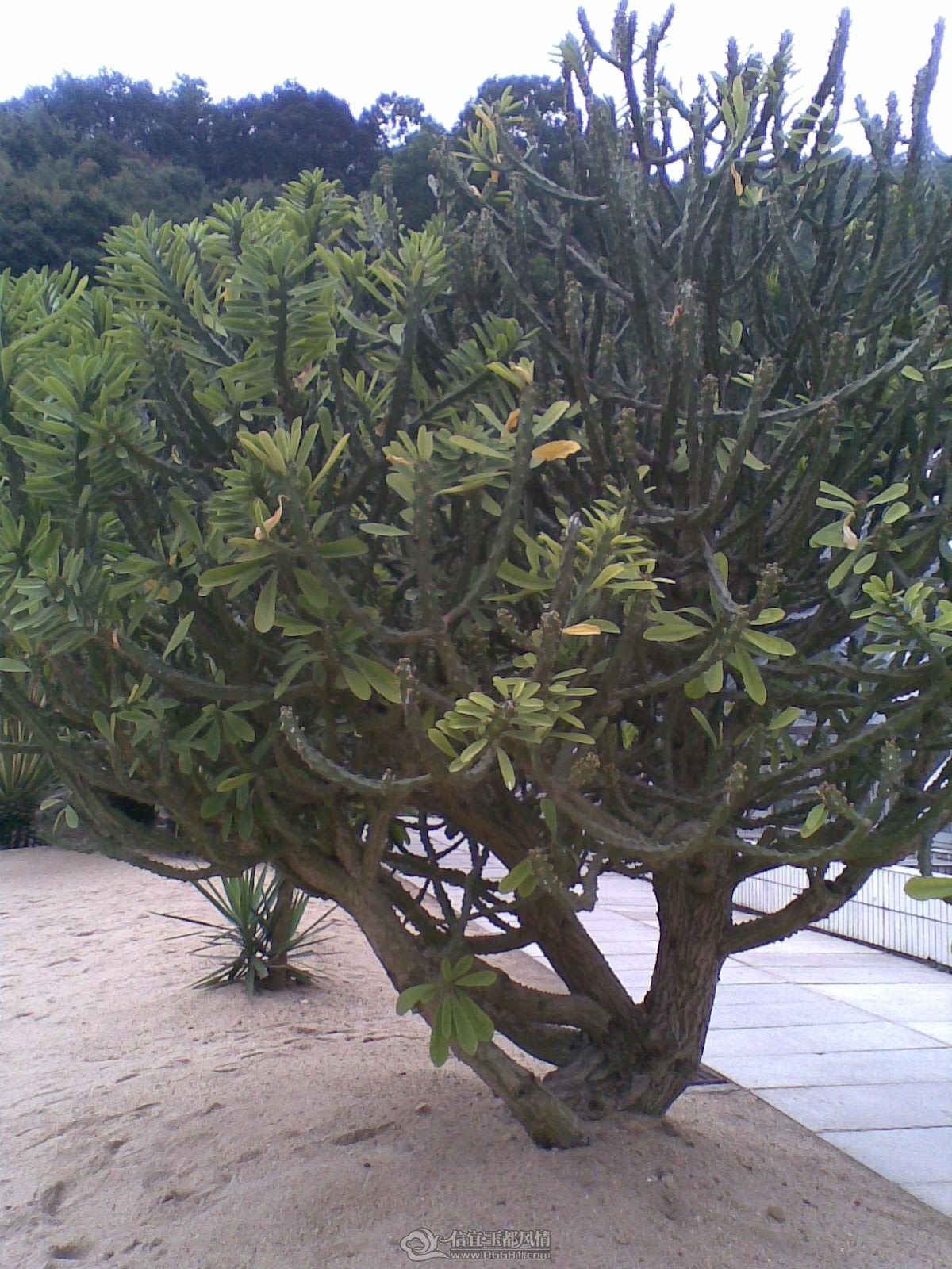 20120226(097).jpg
