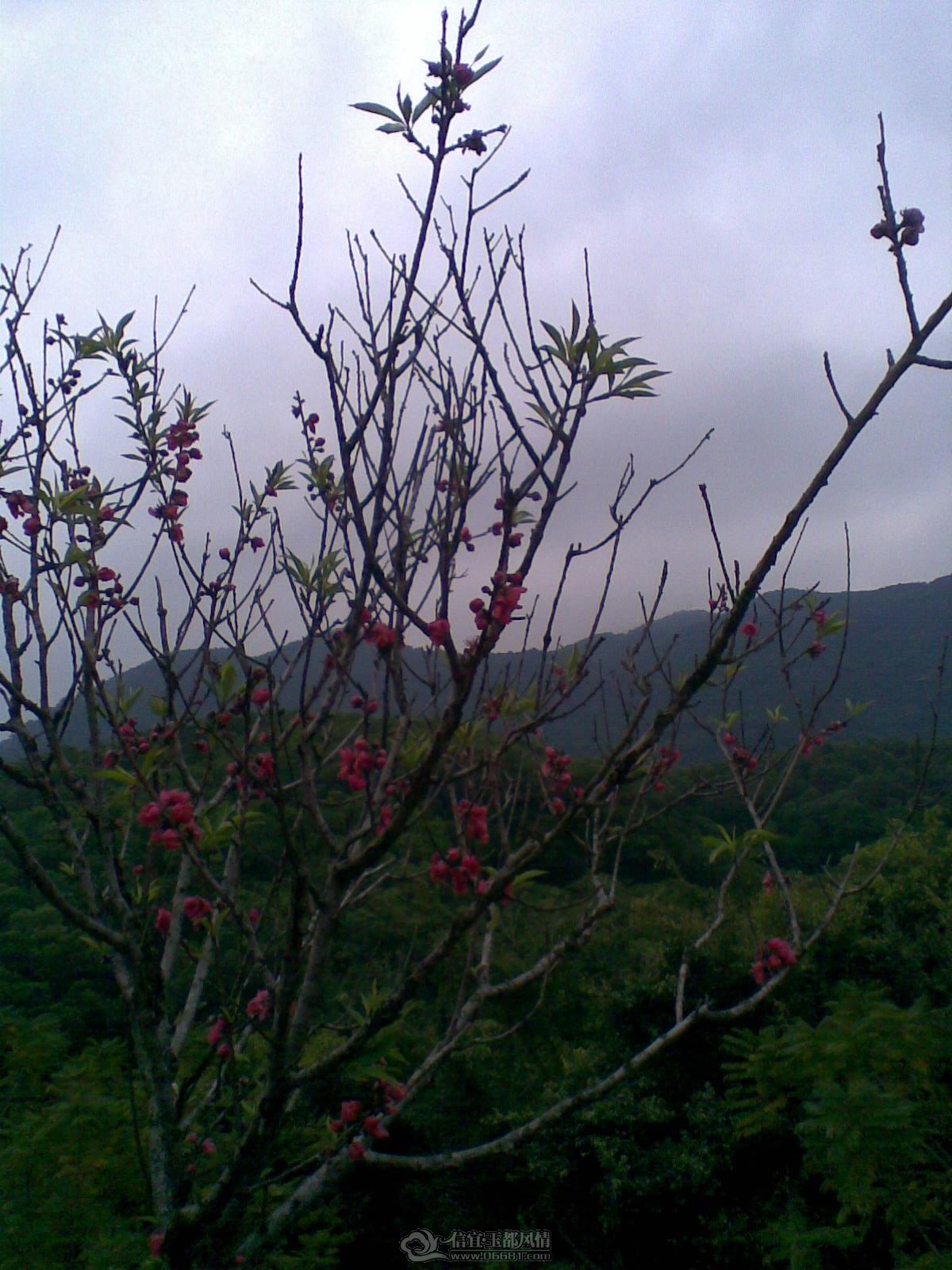 20120226(105).jpg