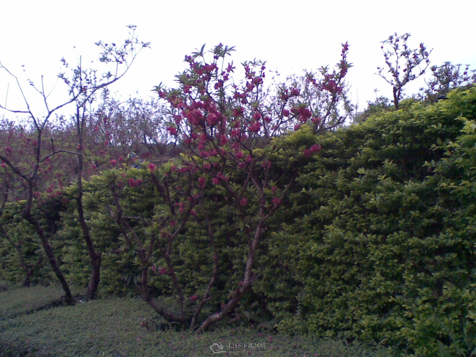 20120226(109).jpg