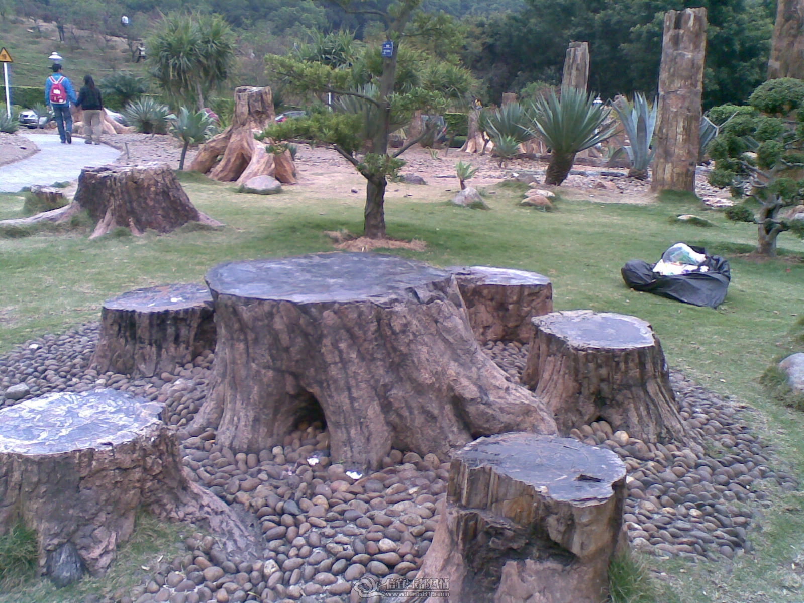 20120226(111).jpg