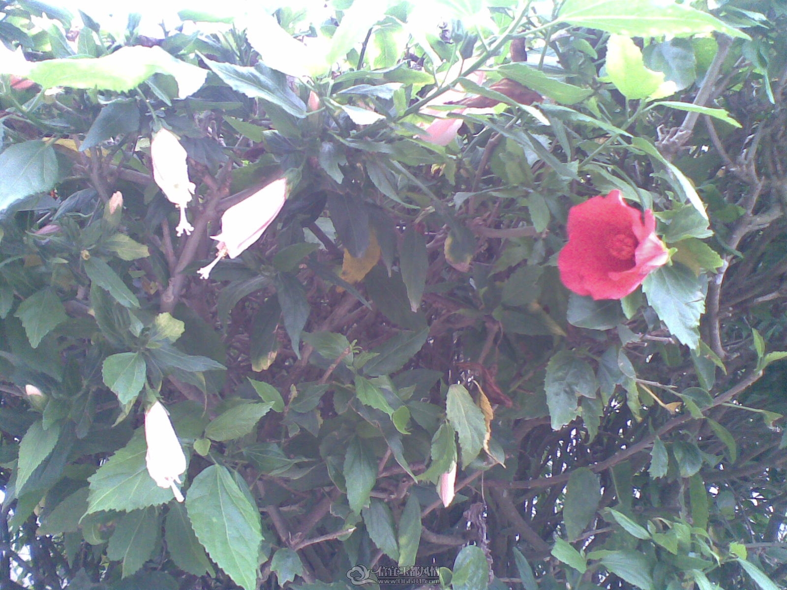 20120226(113).jpg