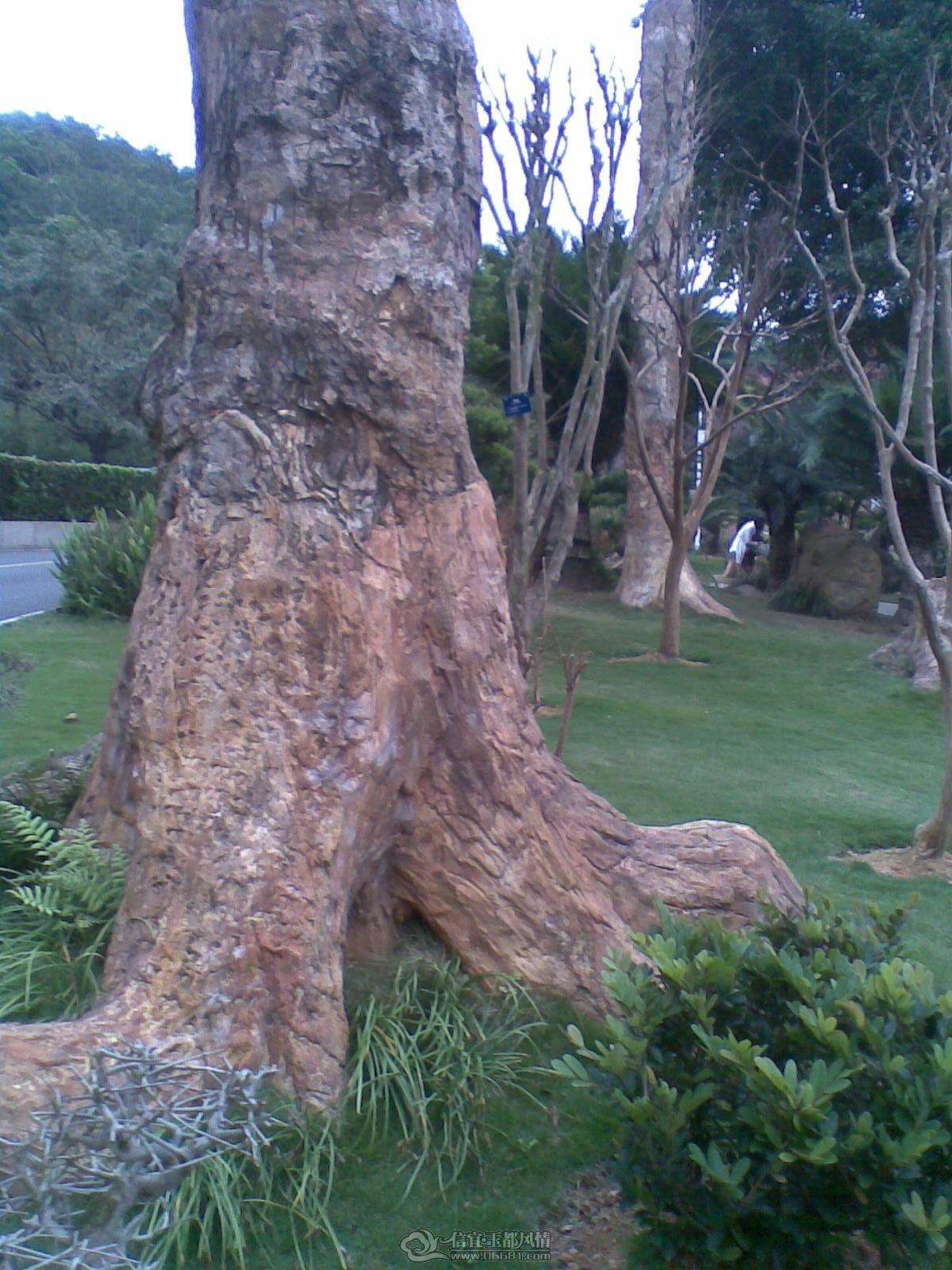 20120226(115).jpg