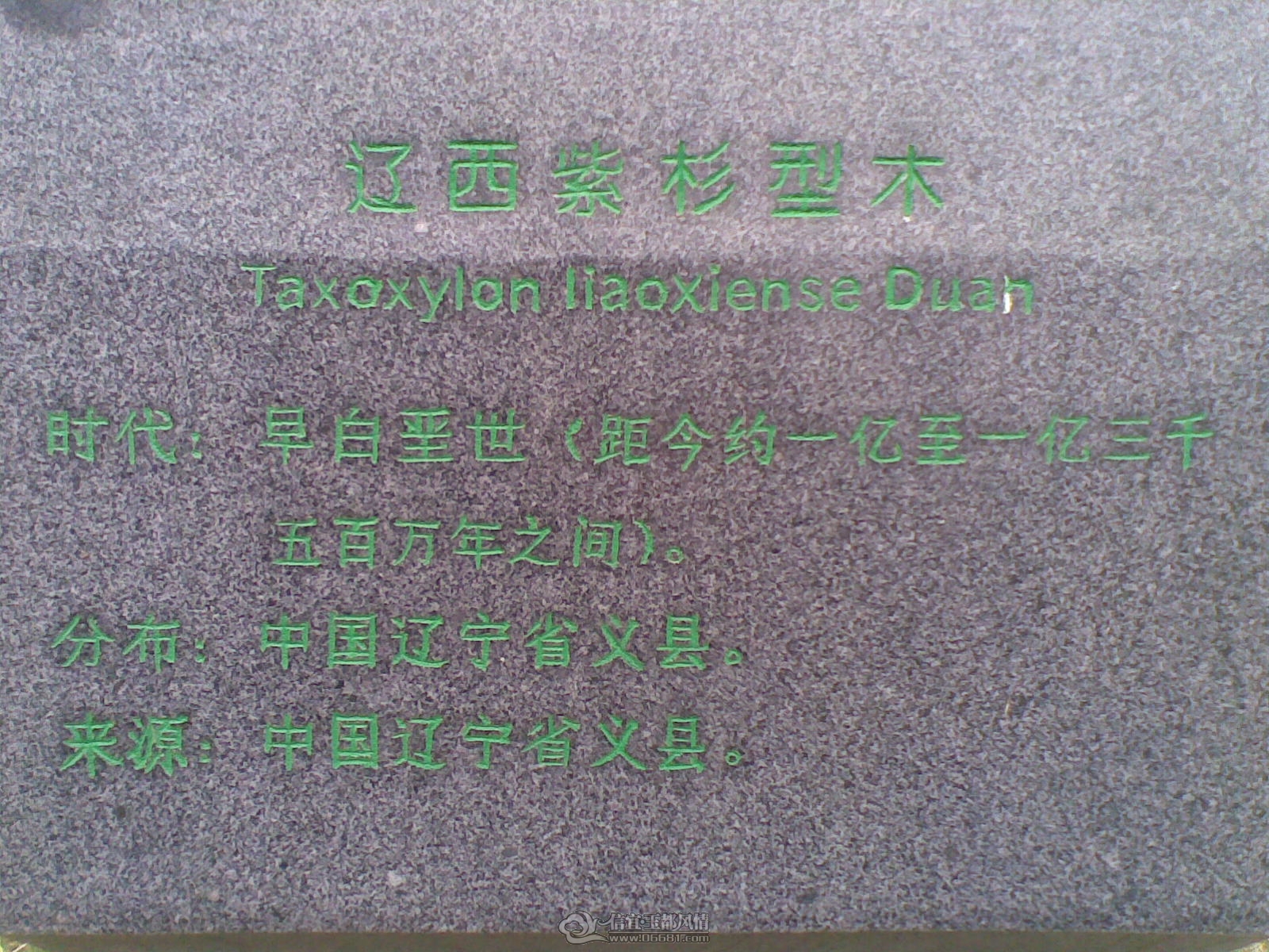 20120226(118).jpg