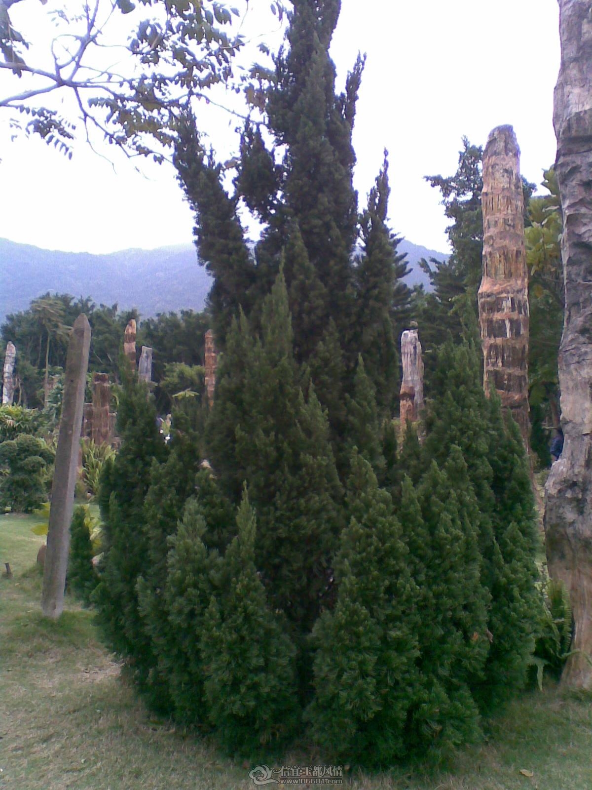 20120226(123).jpg