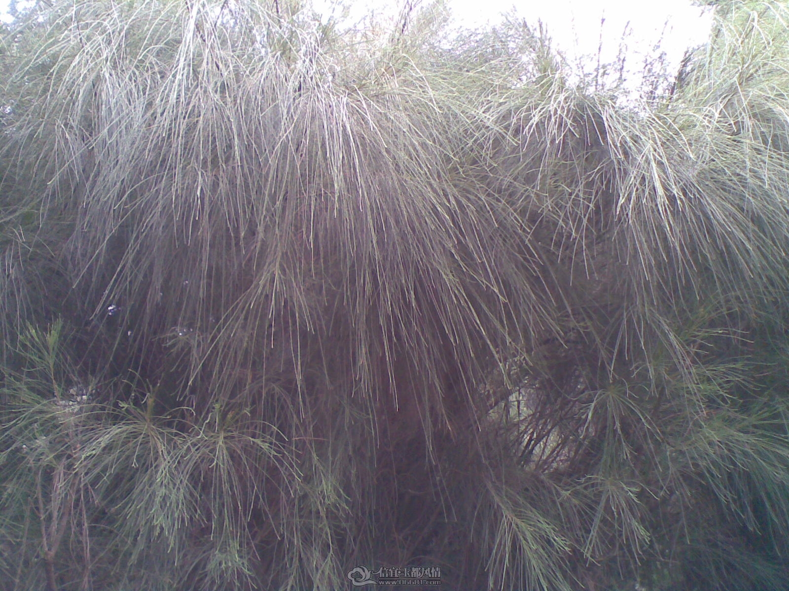 20120226(130).jpg