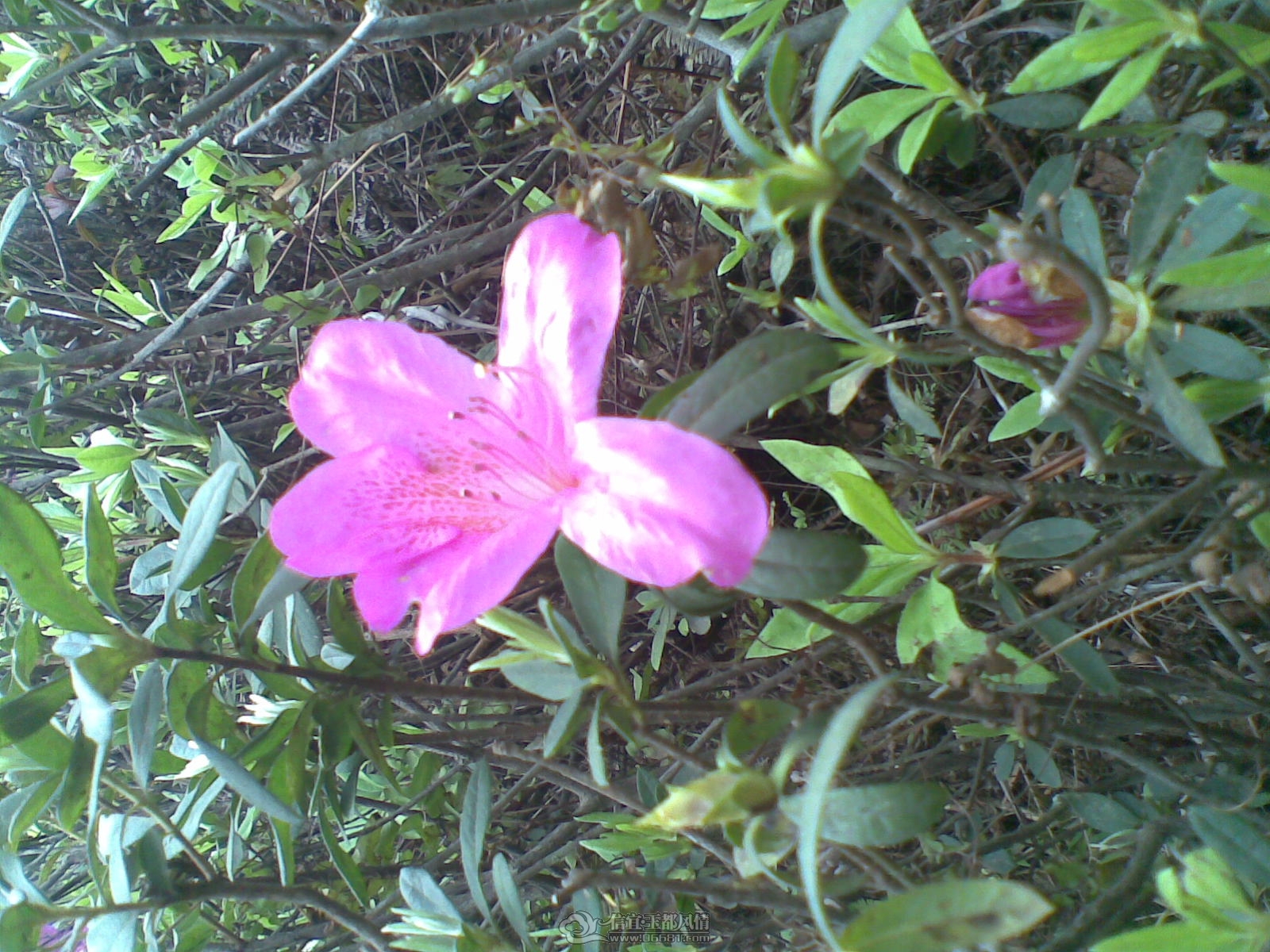 20120226(132).jpg