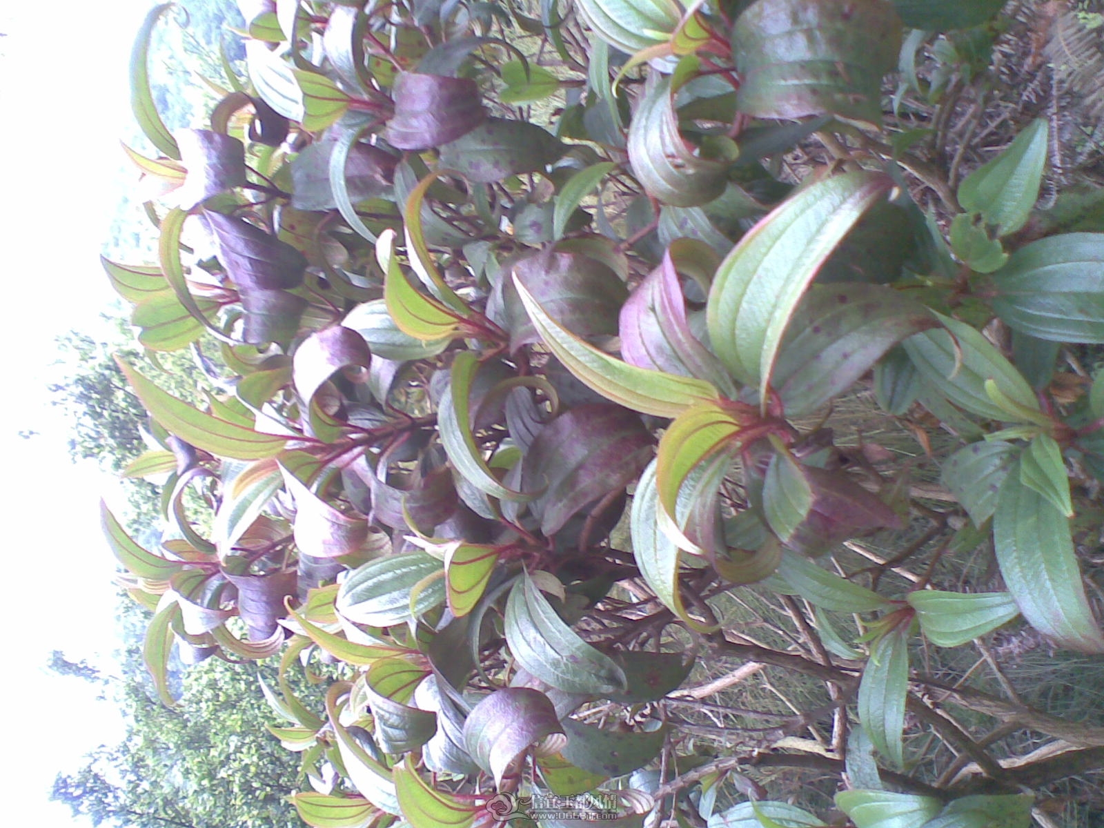 20120226(133).jpg