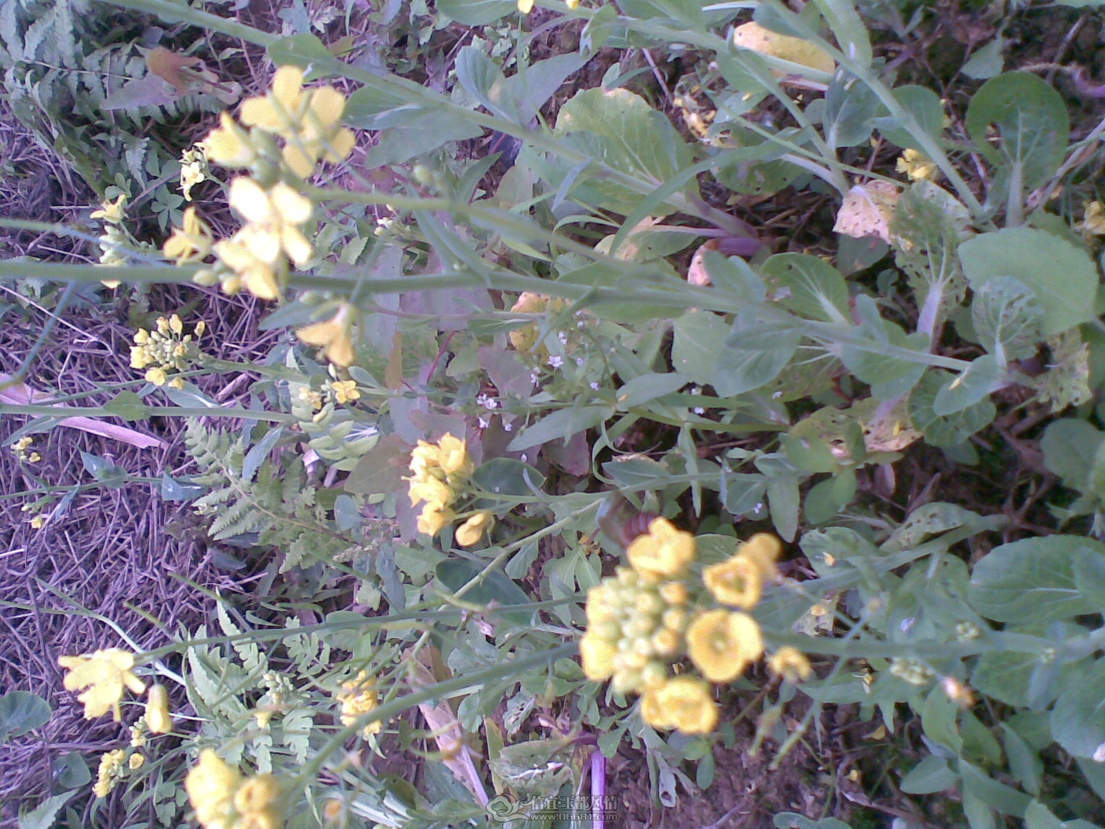 20120226(136).jpg