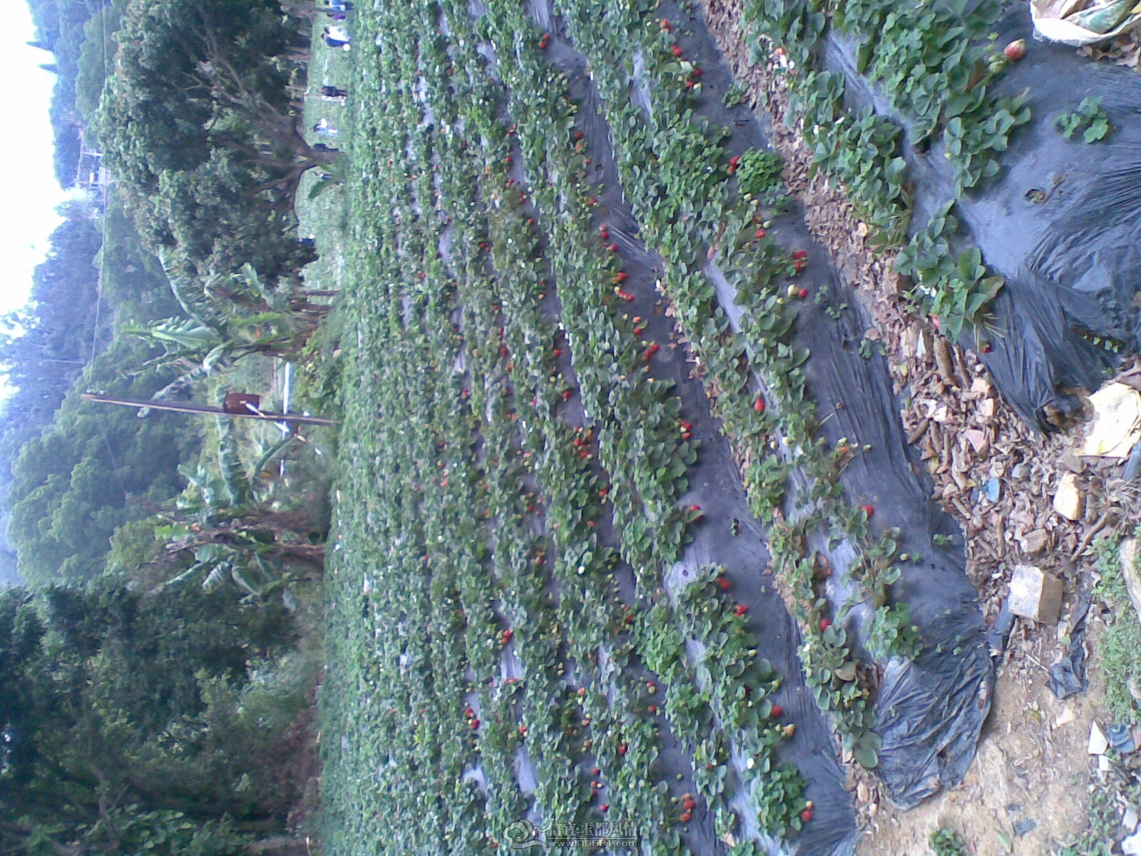 20120226(137).jpg