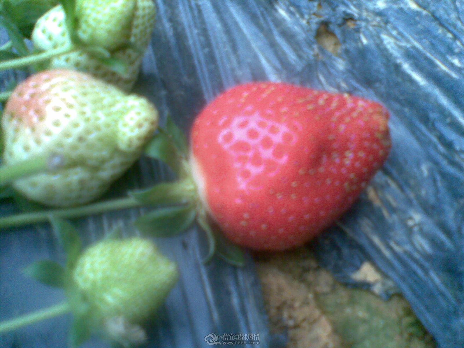 20120226(138).jpg