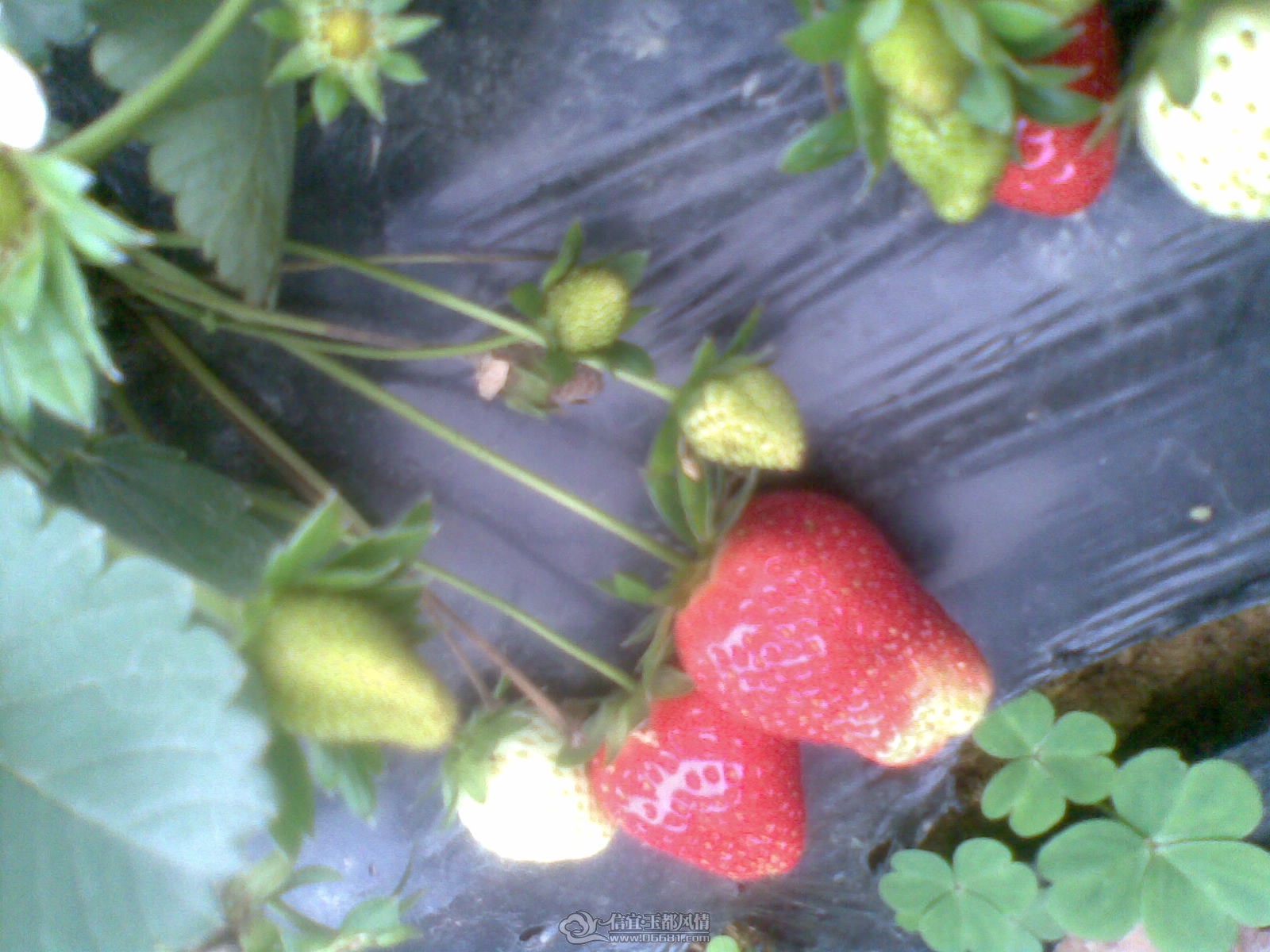 20120226(141).jpg