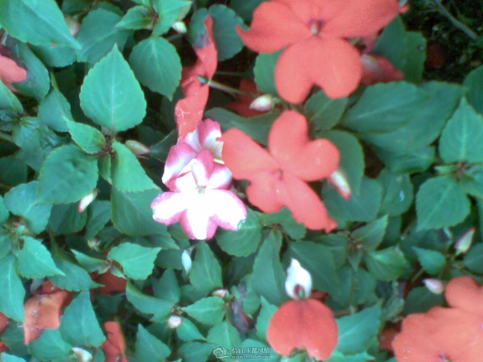 20120226(150).jpg
