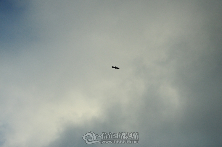 DSC_0561.JPG