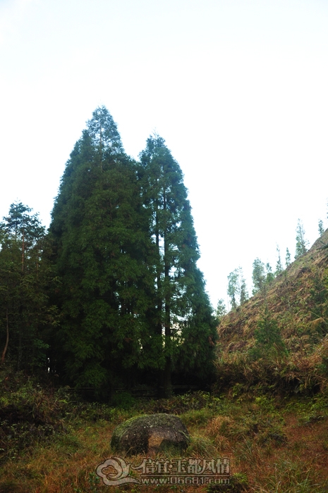 DSC_0621.JPG