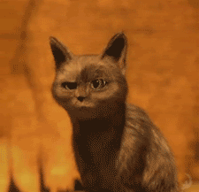 2012022709322734979.gif