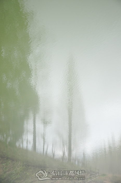 DSC_0837.JPG