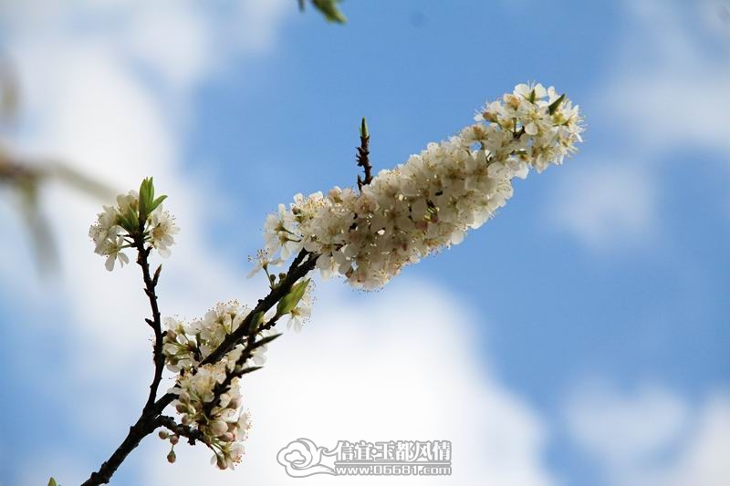 ��Ƭ 024.JPG