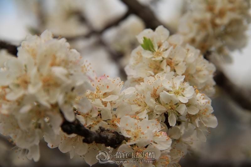 ��Ƭ 044.JPG