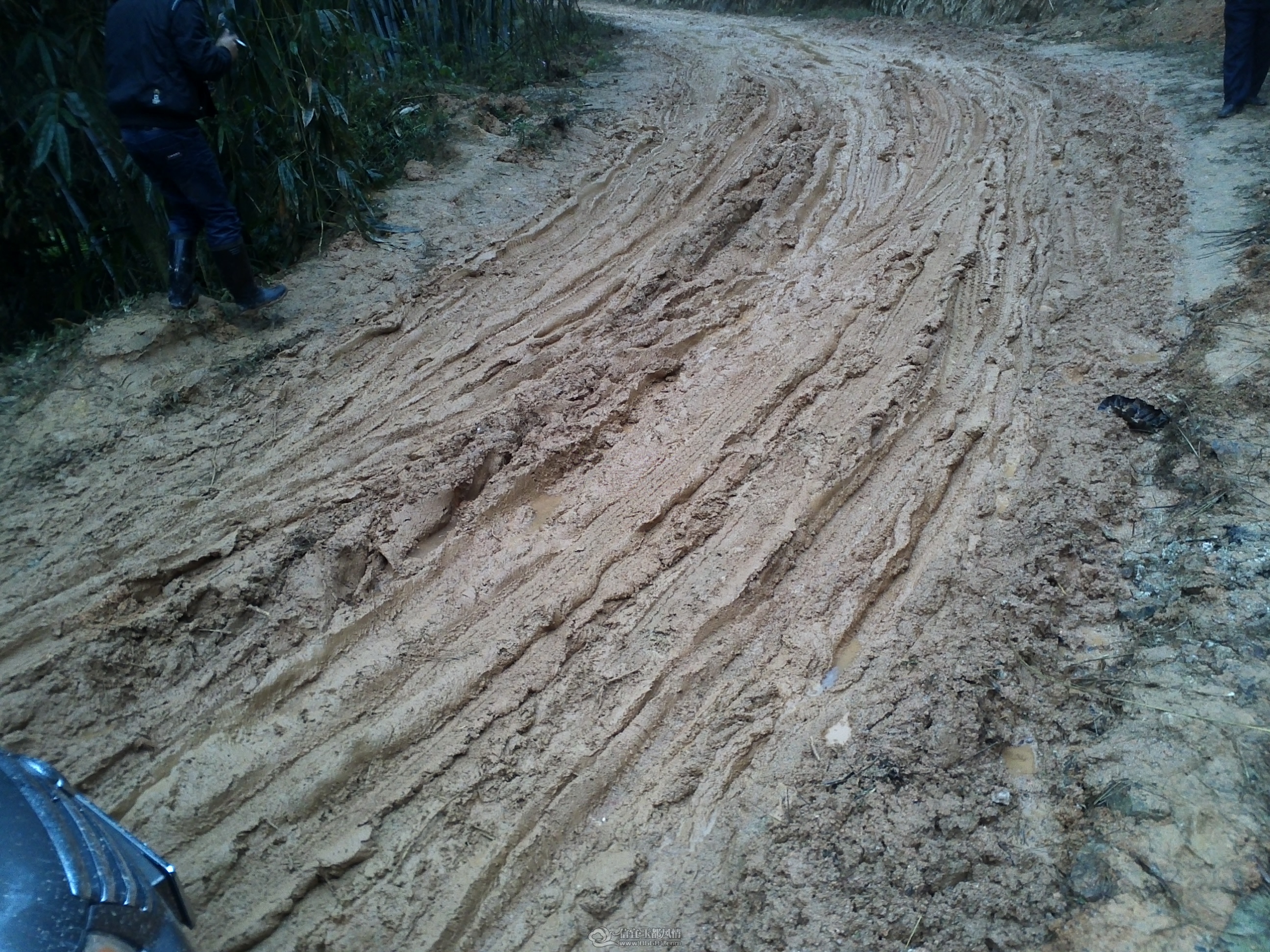IMG093.jpg