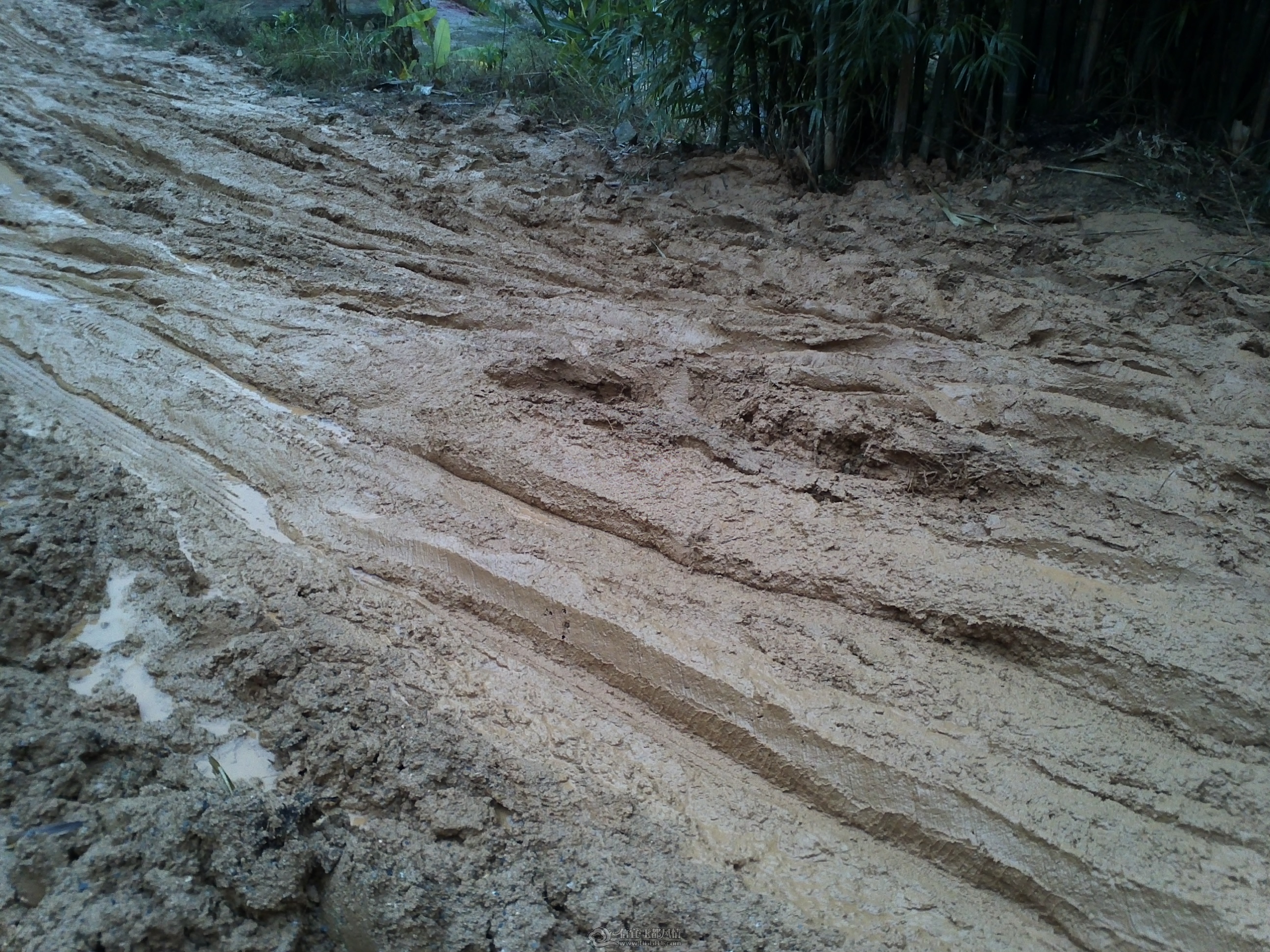 IMG094.jpg