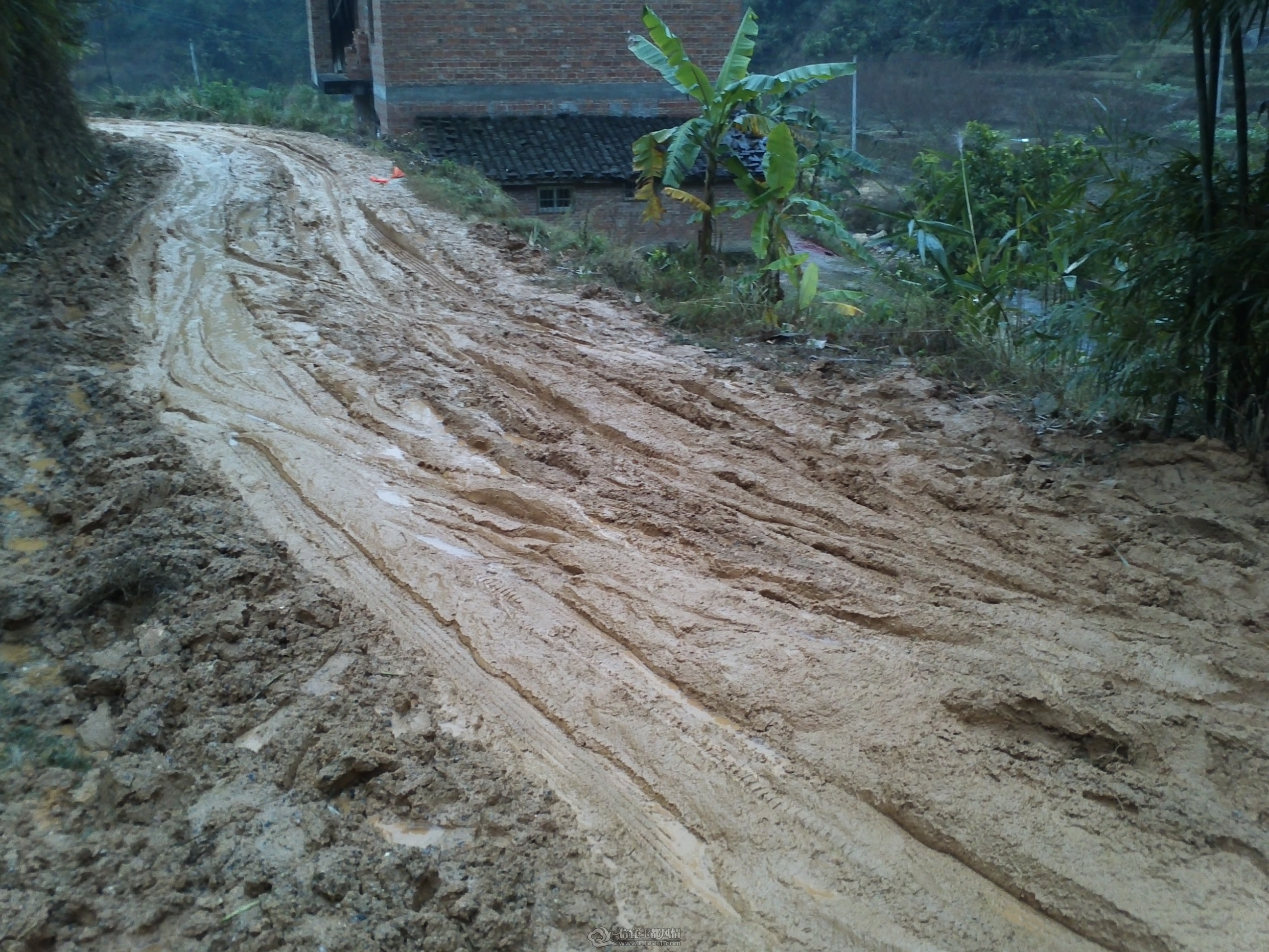 IMG095.jpg