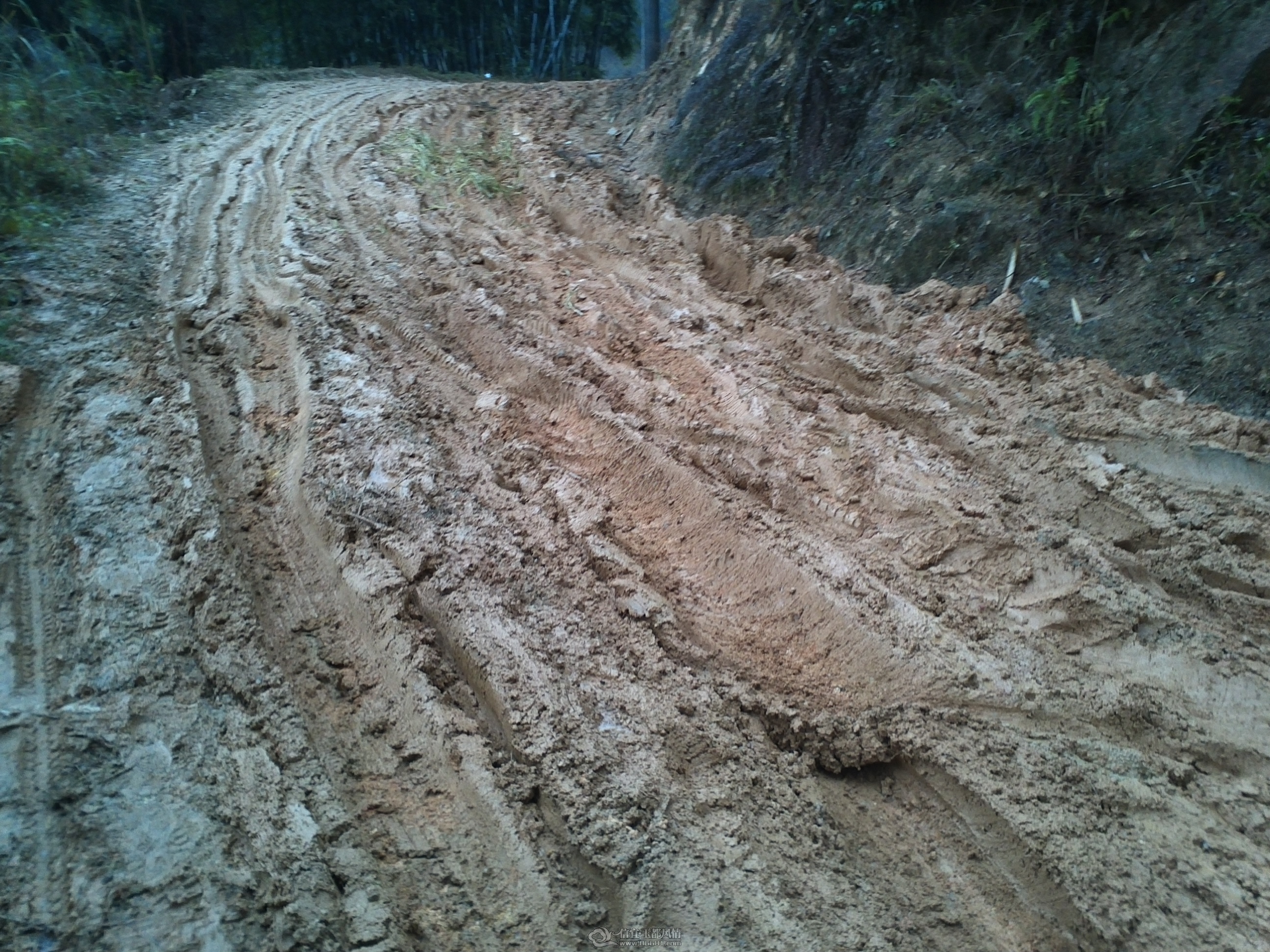 IMG099.jpg