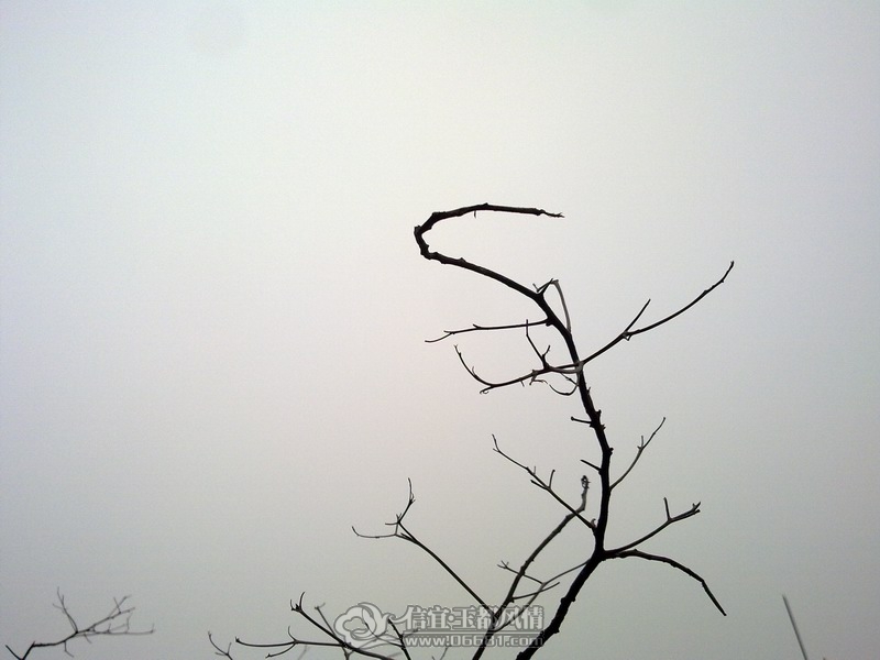 20120304136.jpg