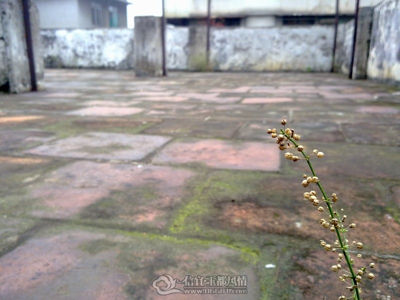 20120304137.jpg