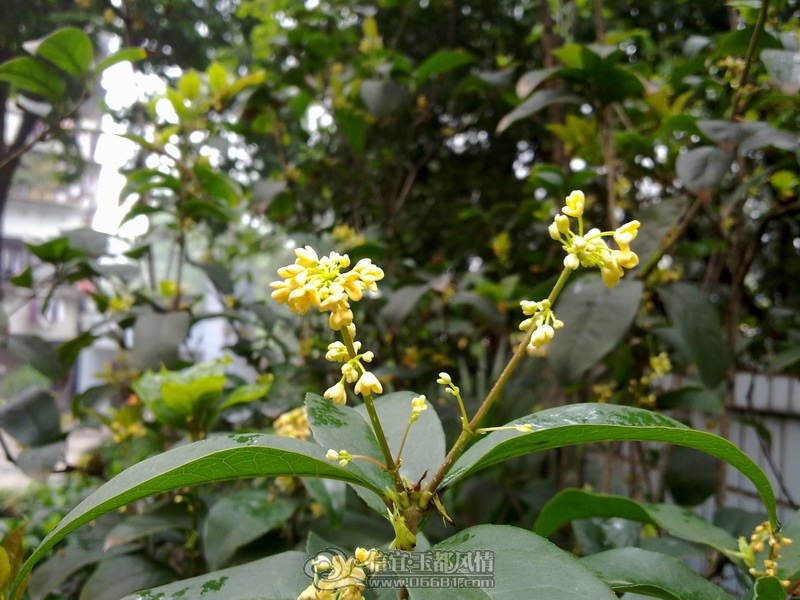 20120304146.jpg