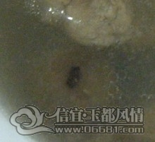 QQ��ͼδ����.jpg