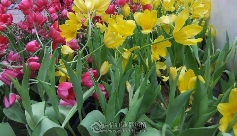 DSCF1122_����.jpg