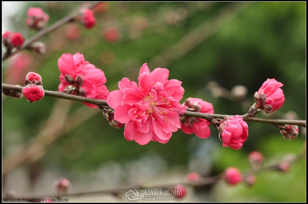 DSC_0220_nEO_IMG.jpg
