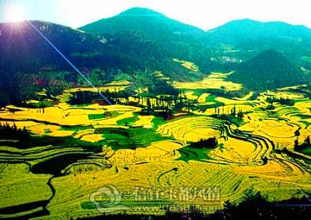 2010022700130318_����.jpg