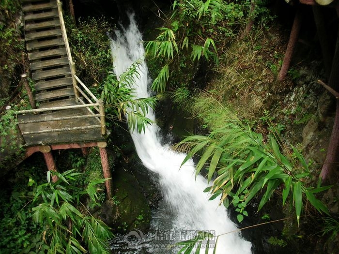 DSCN2680.jpg