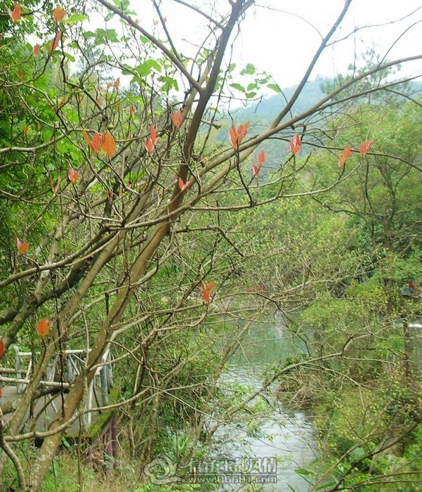 DSCN2695.jpg
