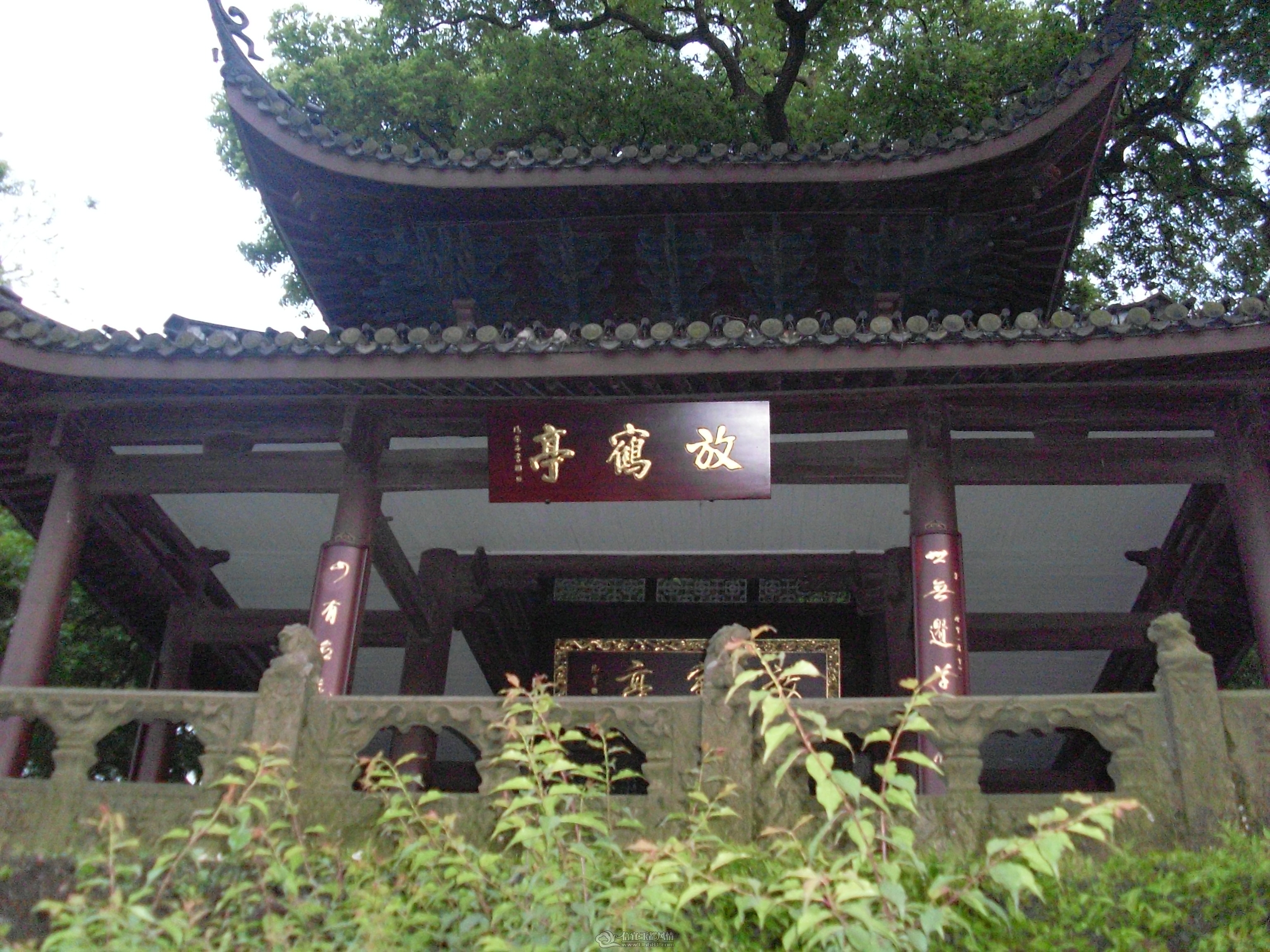 SL371649.JPG