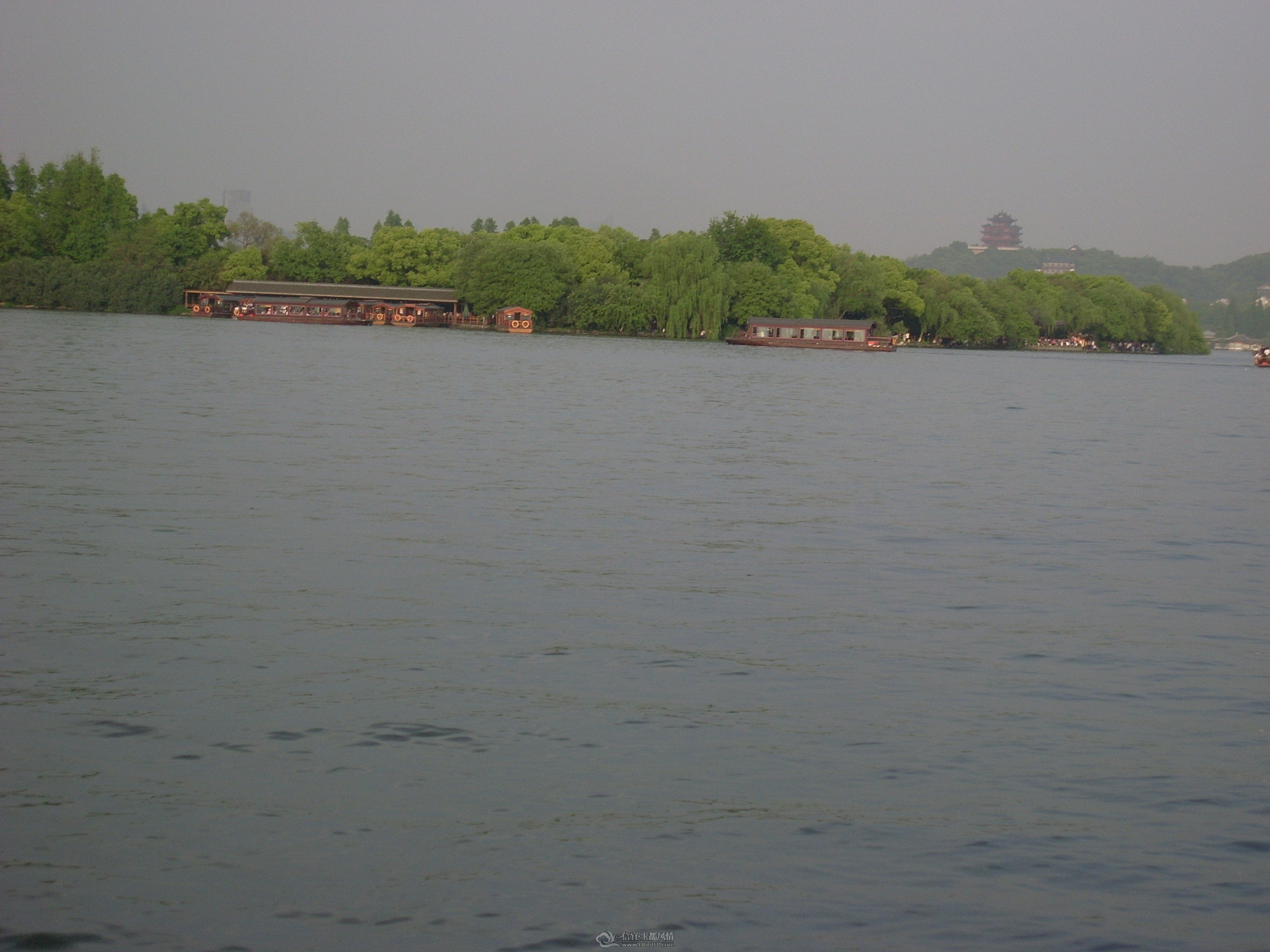 SL371638.JPG