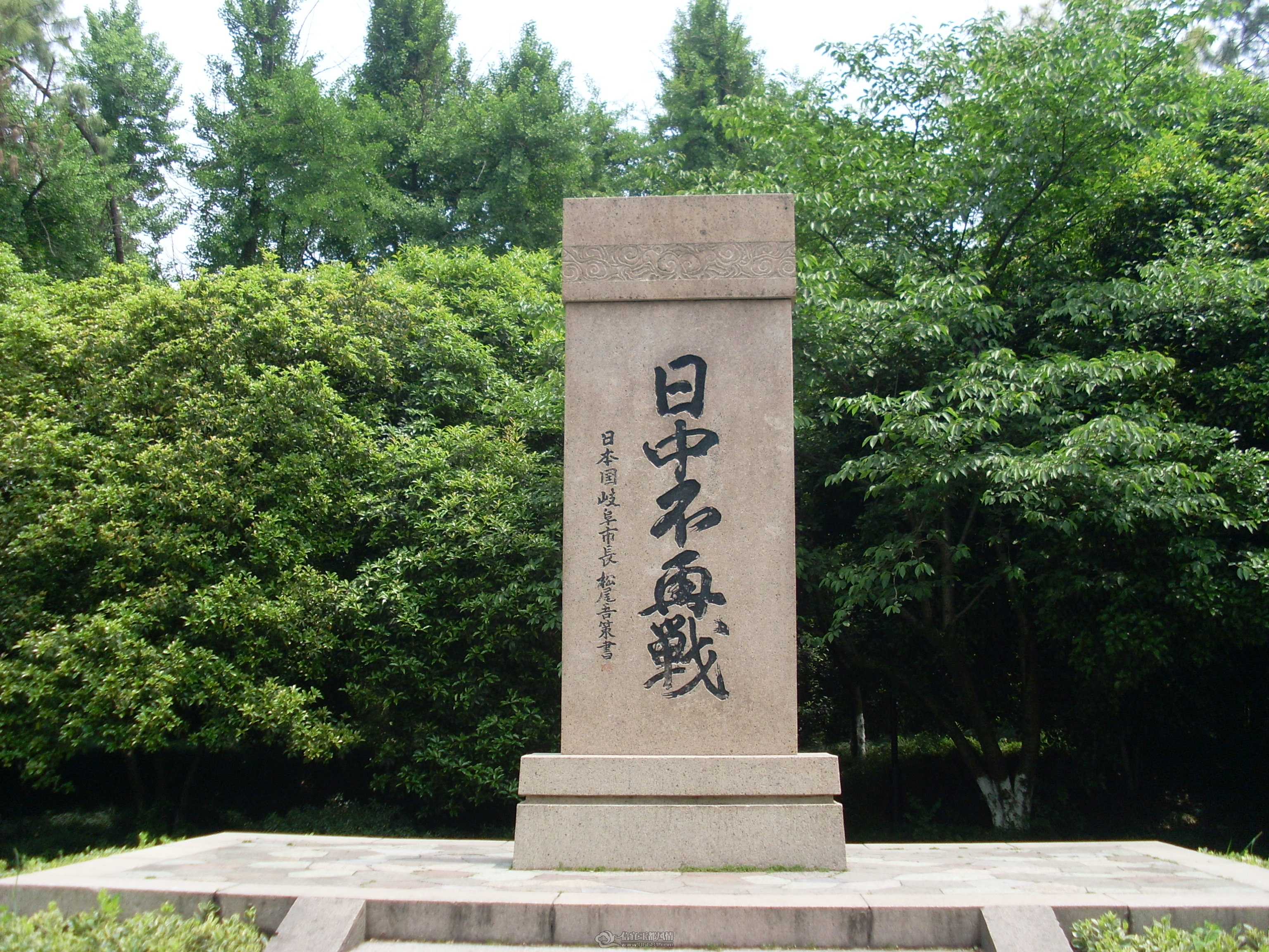 SL371565.JPG