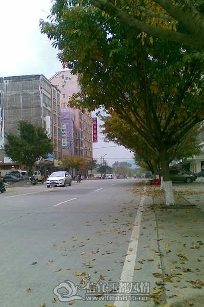 20120305_002_1.jpg