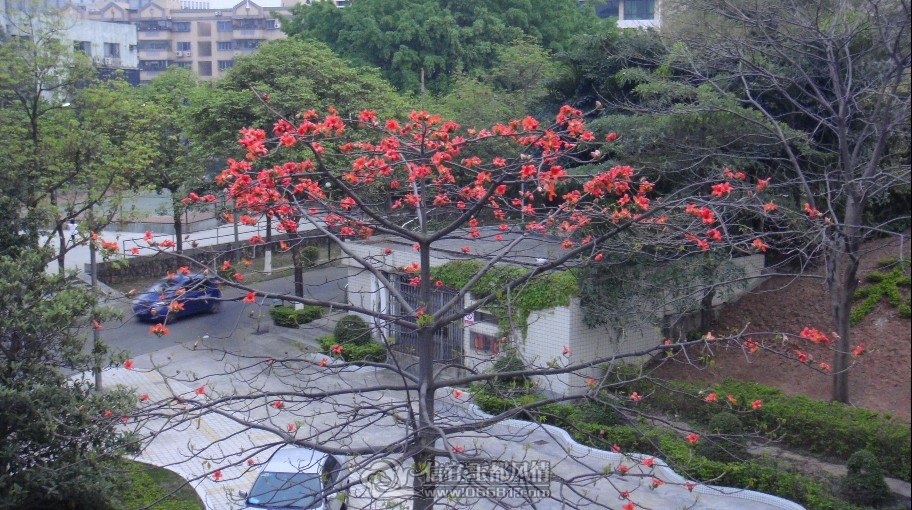 111.jpg