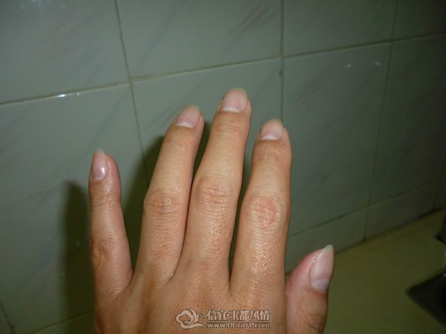 ������С P1000763.JPG