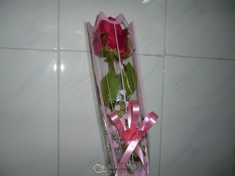 ������С P1000766.JPG