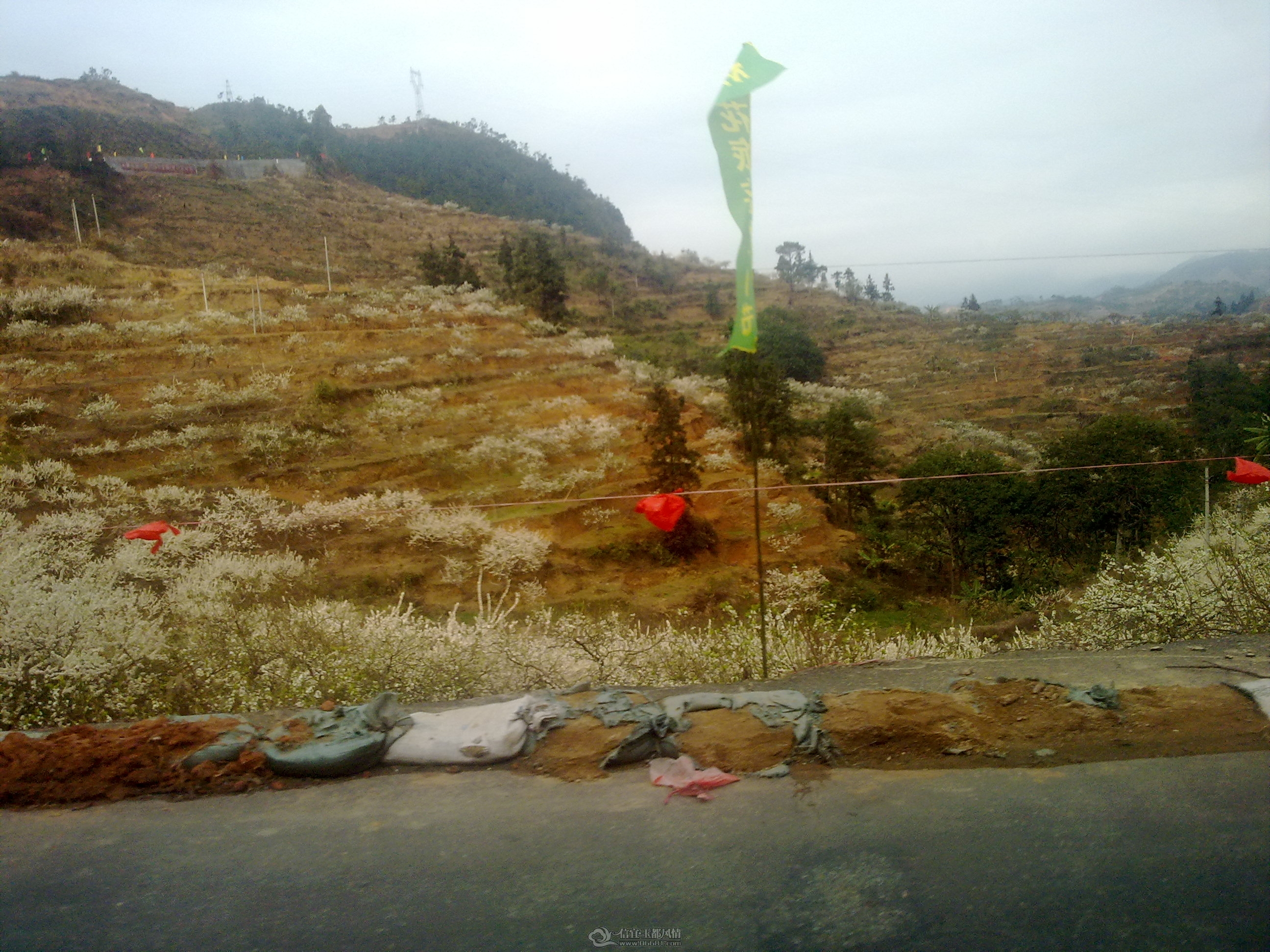 20120211039.jpg