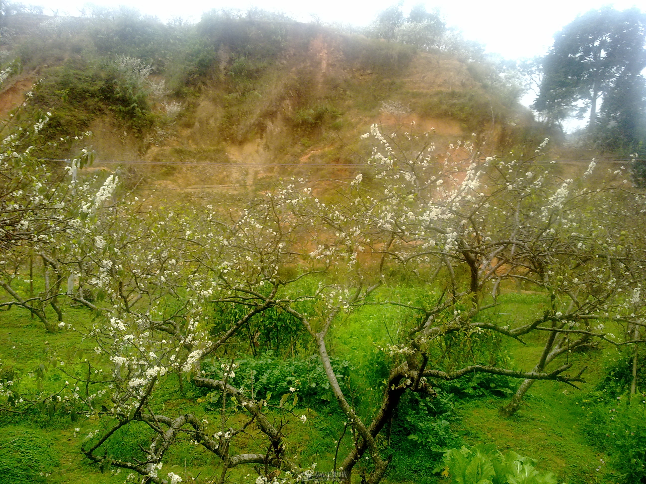 20120211040.jpg