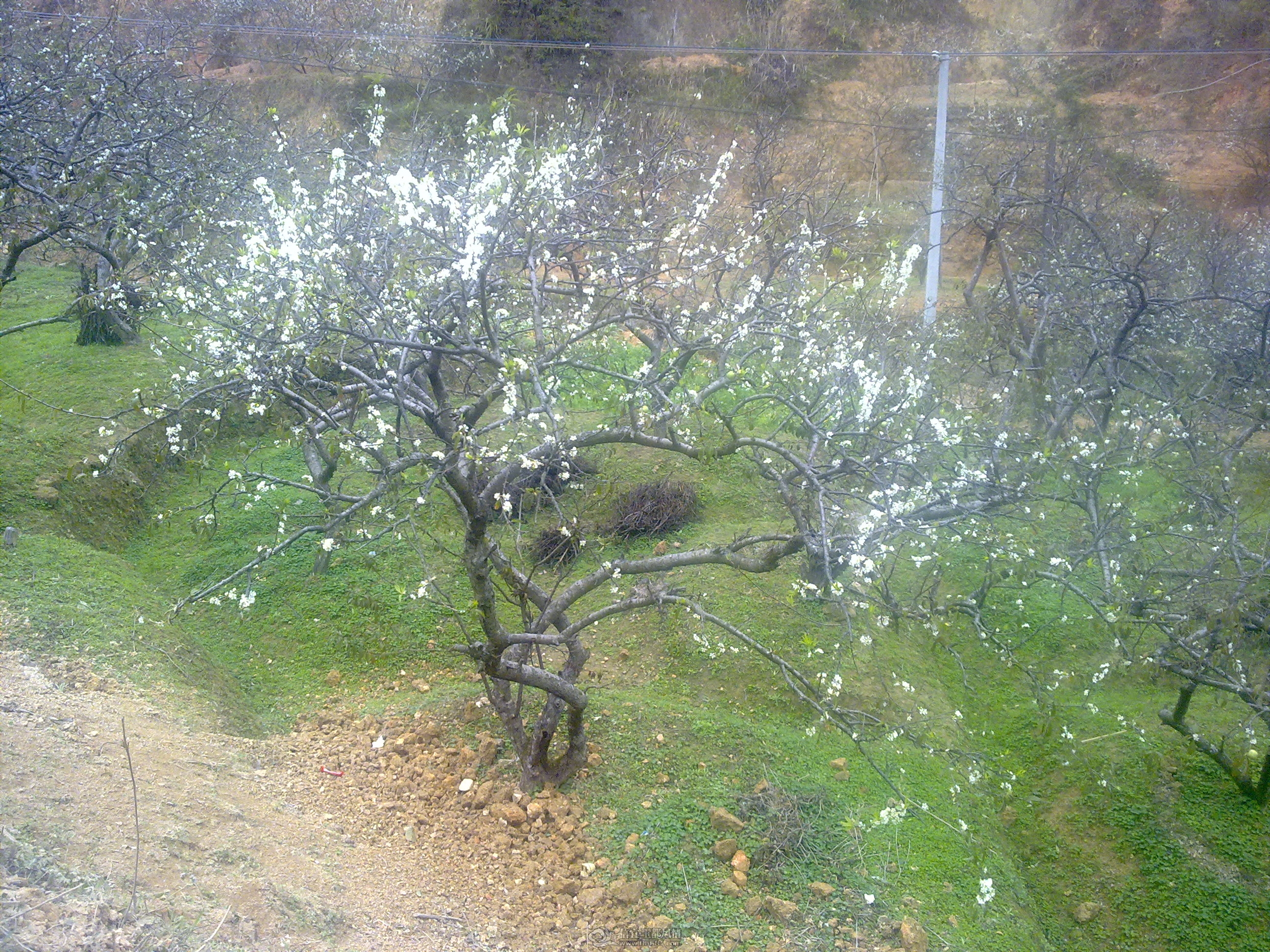 20120211041.jpg